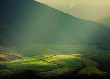 云呼电话轰炸机网页版